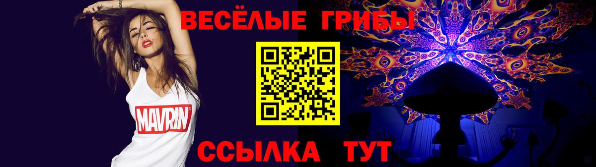 сколько стоит  Псилоцибиновые грибы MAGIC MUSHROOMS  Звенигород  Вход с VPN  Галлюциногенные грибы мухоморы 